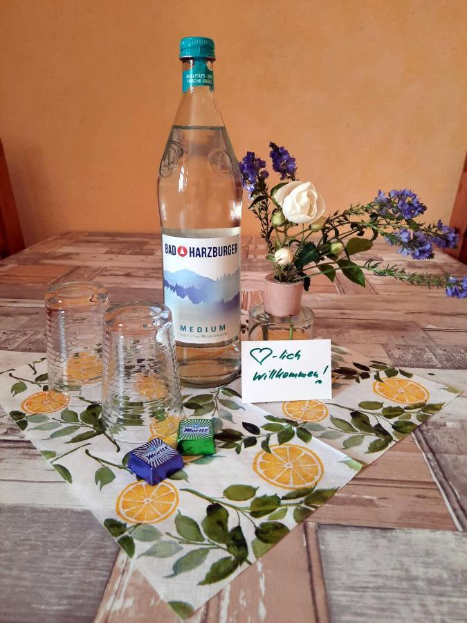Ferienwohnung Zur Alten Post Lützen Dış mekan fotoğraf